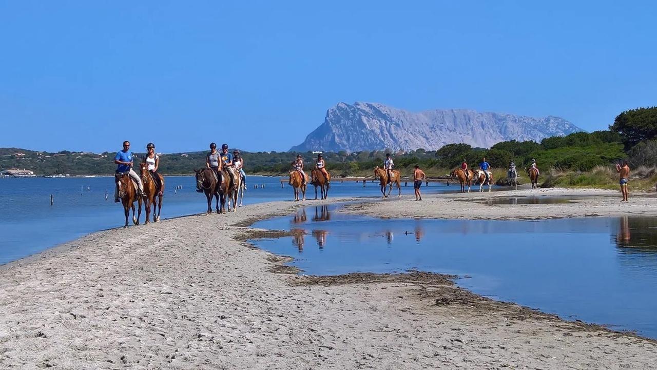 Appartamento Sette Posti Vicino Al Centro Di San Teodoro Сан Теодоро Екстериор снимка